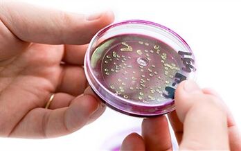 Bacteriën in de afscheiding van de prostaat